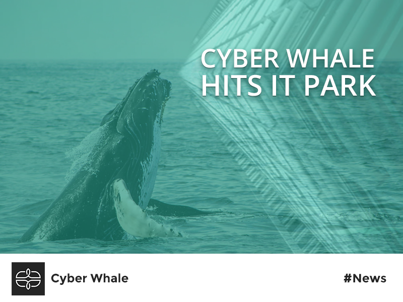 Cyber Whale hits IT Park in Republic of Moldova